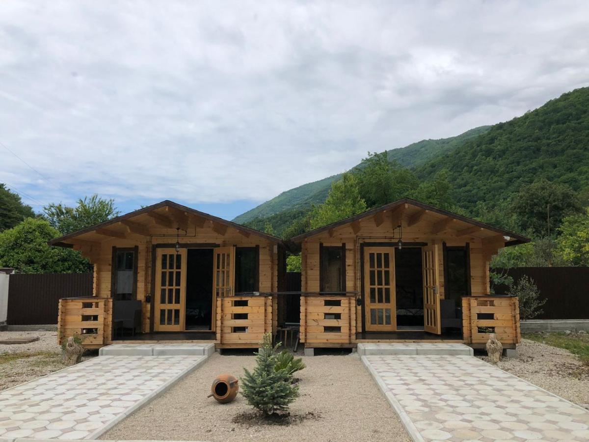 Olginka Villa Gagra Kültér fotó