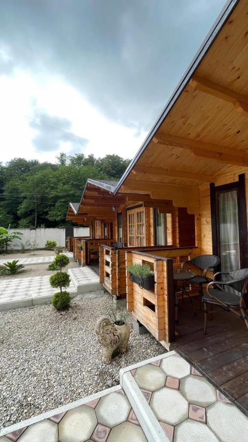 Olginka Villa Gagra Kültér fotó