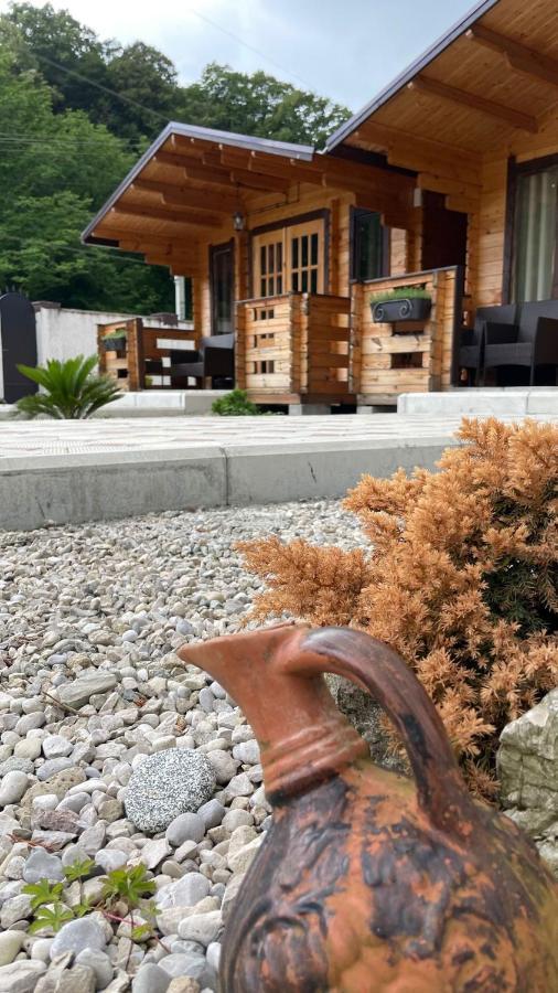 Olginka Villa Gagra Kültér fotó