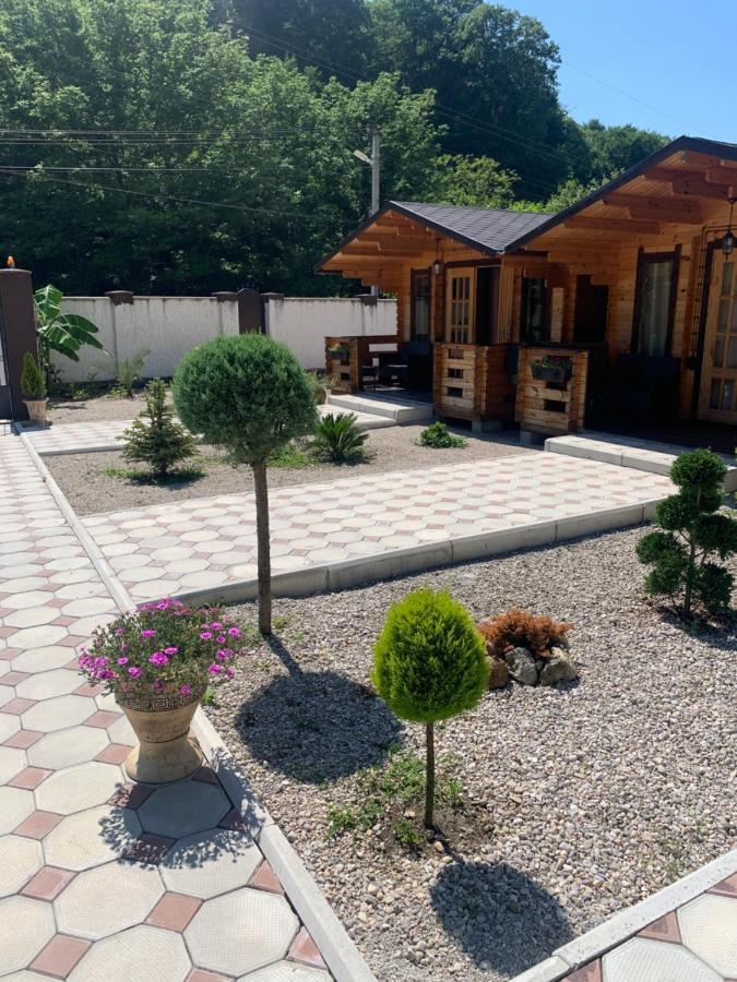 Olginka Villa Gagra Kültér fotó